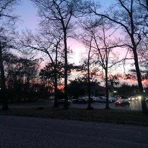 Meet your Posher, Catherine